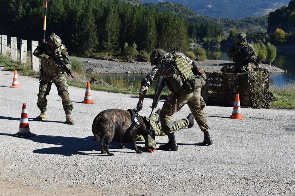 Εθνοφύλακες από Ελλάδα και Κύπρο την TΑΜΣ ΔΥΝΑΜΙΚΗ ΑΝΤΙΔΡΑΣΗ 2024